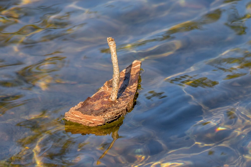 UVornanen's tweet photo. *
Virran vietävänä,
Aurinkoisilla aalloilla
*
#kaarnalaiva #kiilopuro #kiilopaa #suomenlatu #Lappi #Suomi #barkboat #stream #Lapland #Finland #canonkesä https://t.co/EwPro0BI2S