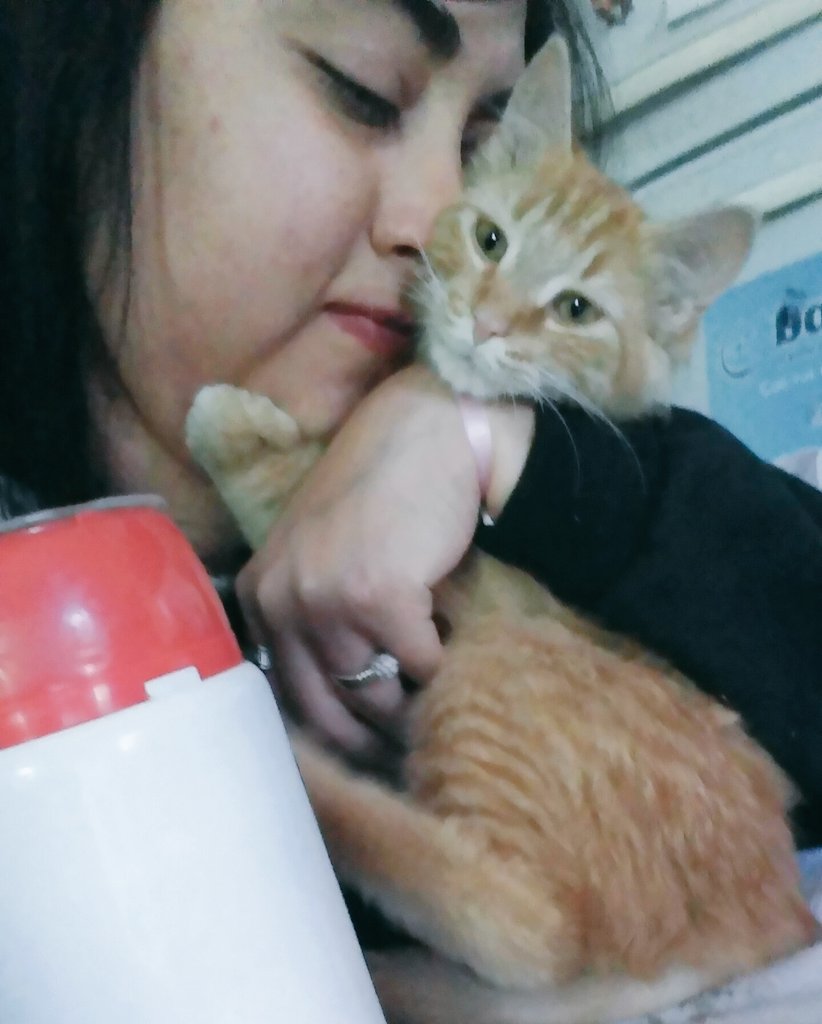 Margaritamtlp's tweet photo. Con él... #Ronro bonito 😍 https://t.co/Yn6DQYWrwB