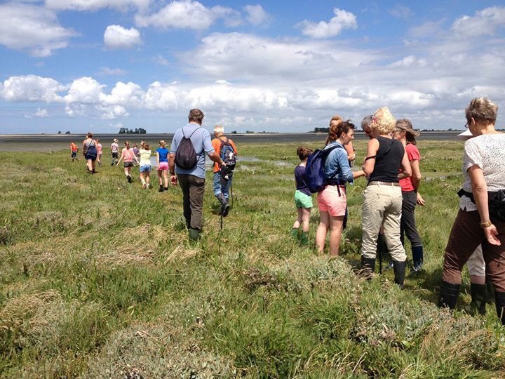 Van 8 t/m 15 september is het weer Oosterscheldeweek! Een week vol unieke activiteiten en belevingen op en rondom Nationaal Park Oosterschelde. Ga je mee snorkelen, kajakken, strandjutten, varen, proeven of wandelen? Kijk op np-oosterschelde.nl