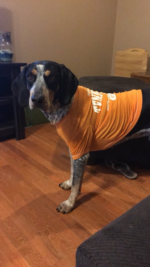 aswagg1454's tweet photo. @Vol_FanHQ @BigOrangePruitt @Vol_Soccer Neyland is ready to support his #VOLS #VolDogs https://t.co/t2nQYwIZQK