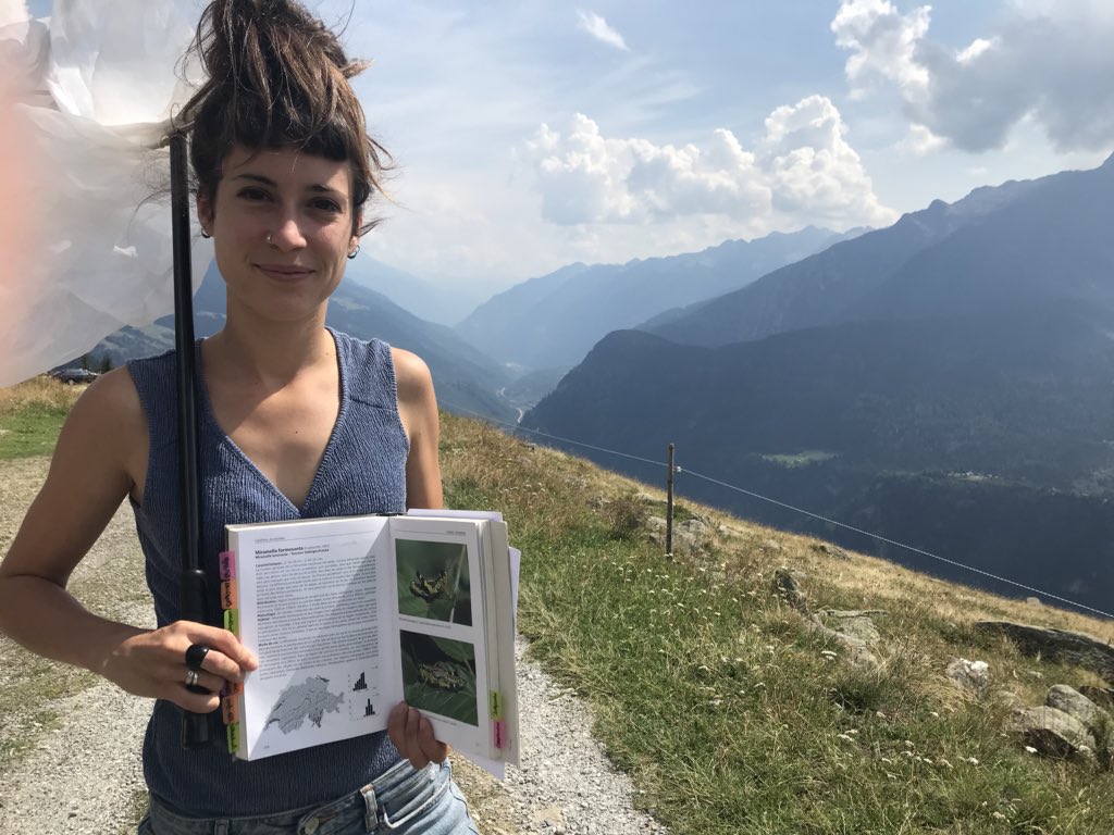 giulidonati11's tweet photo. Some alpine fieldwork in my natal región at 2300m with my friend and collegue Camille Pitteloud. Camille studies #plantinsect interactions in the Swiss Alps! @LE_group_ETHWSL https://t.co/DizDeX7aoc