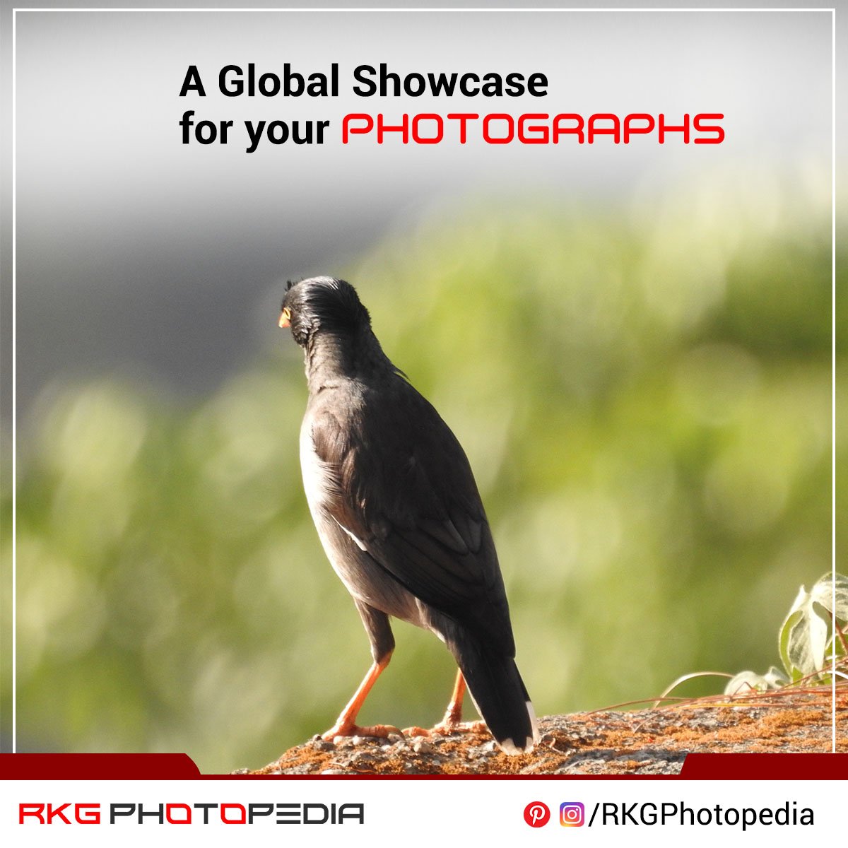 download The Modern Theory of the Toyota Production System : A Systems Inquiry of the World\'s Most Emulated and