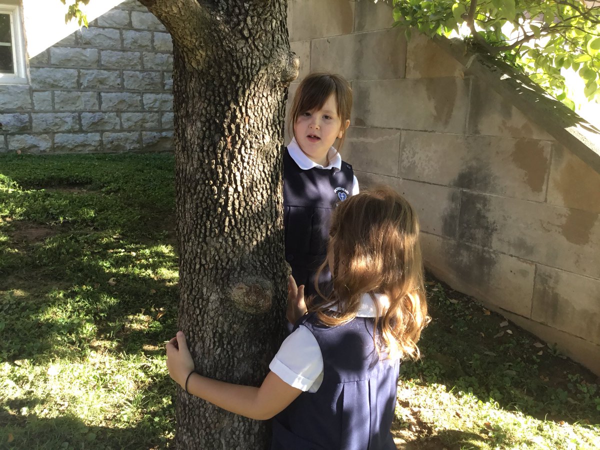 MrsHooverLevel1's tweet photo. Today Mrs. Hoover’s Level 1 put on their Scientist hats and began a year-long Tree Observation project. We used our senses to observe and then recorded the information. We are Scientists! #whoweare #talkIBtome #learninginlevel1 https://t.co/XcShlhV6yP