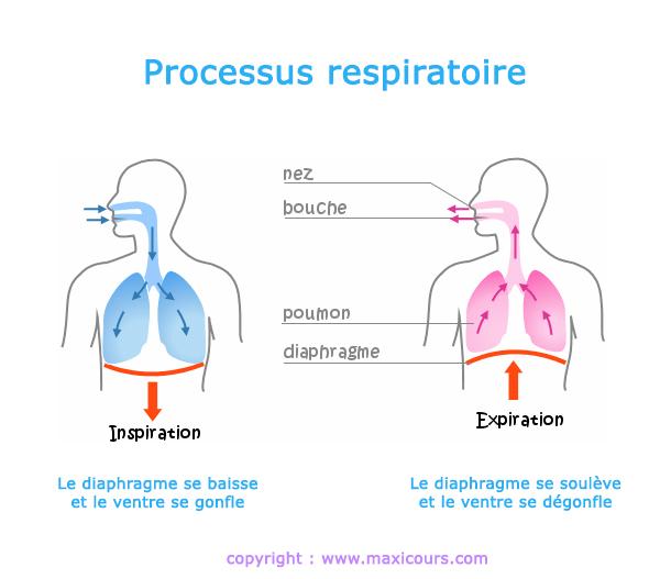 kthobisuun's tweet photo. #TheAnswerIsComing n'oubliez pas c'est très important https://t.co/qVrPg65oRS