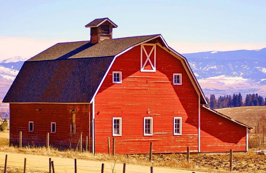 Massimo On Twitter Barns Are Painted Red Because Red Paint Is