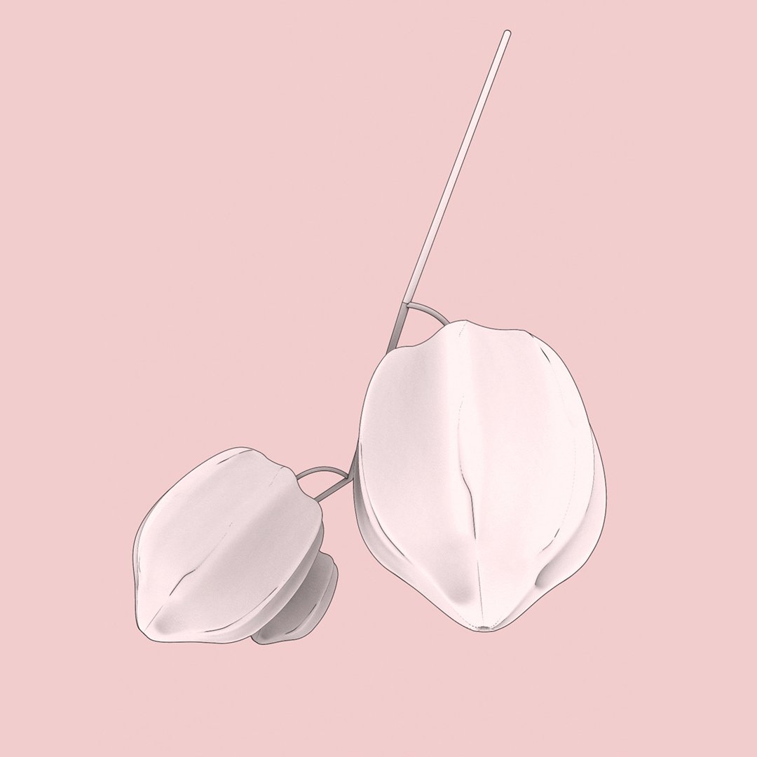 Physalis will be presented during Lightblowing
 – a celebration of the complexity of lighting within hand-blown glass, as part of @ TheVeniceGlassWeek. See link in bio for more information.