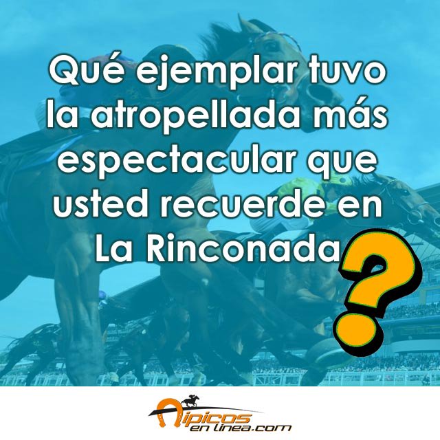 hipicosenlinea🏇 tweet media