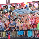 Photo by East Burke High School Official (@GoWildBunch)