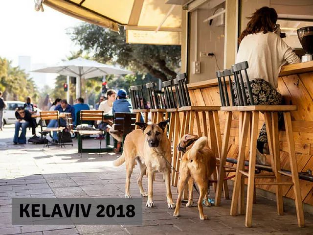 ebook 41 Projects Using IC 741 OP