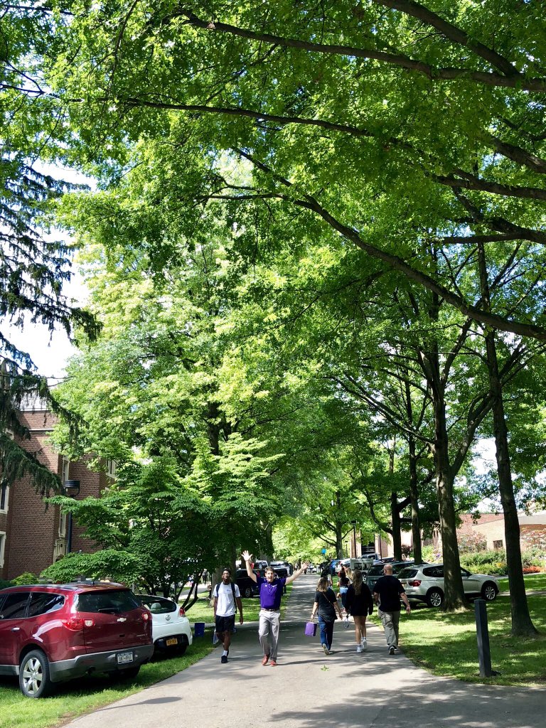 AnnKnaak's tweet photo. Absolutely love #MoveInDay at Naz. So much excitement,positive energy &amp; a stellar weather day to boot! ☀️💜 #nazbound @NazarethCollege https://t.co/9cxnYKe8L0