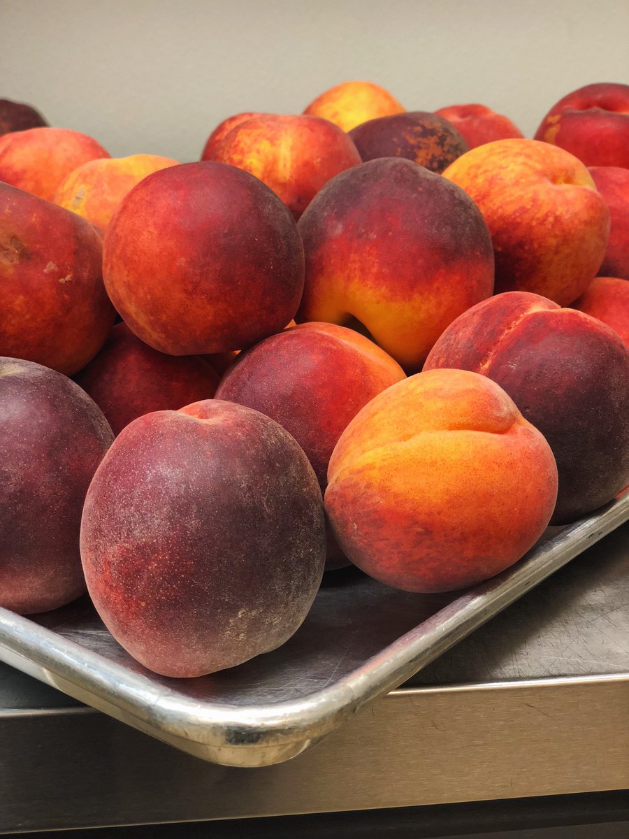 iLuvMagpie's tweet photo. We're getting ready for our Peach Crumb #PieClass tonight so stop in before 5pm for something sweet!

#magpieartisanpies #magpie #pie #phillyfood #ilovepie #southstreet https://t.co/sRXmUudfjQ