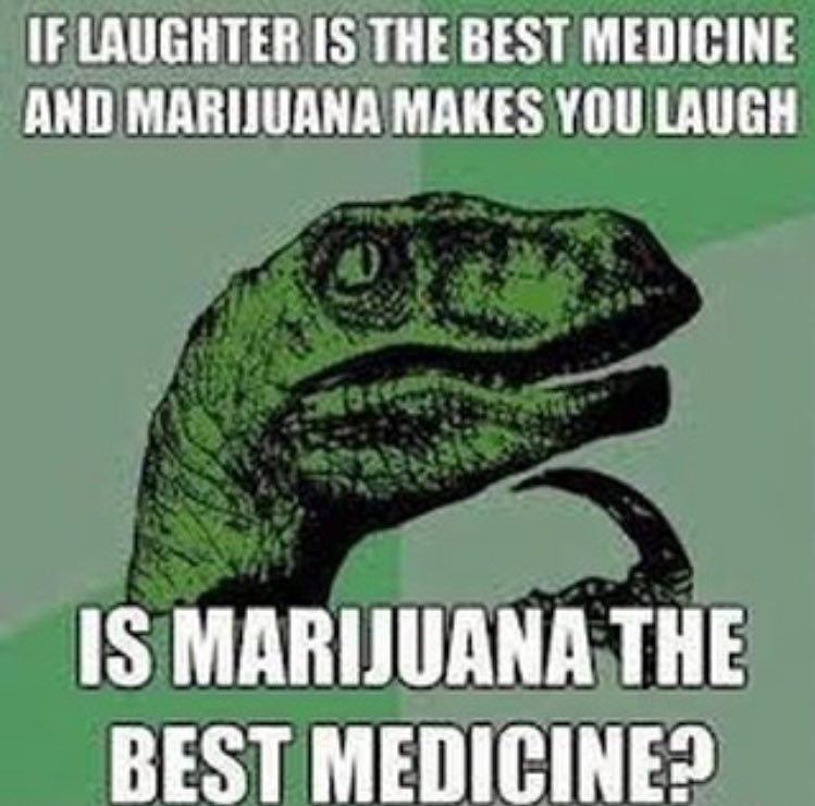 ReliableBud's tweet photo. I mean...it doesnβt not make sense! π€
Creds: @budnotic
#weedmemes #cannabis #reliablebud https://t.co/KdypbdZEr7