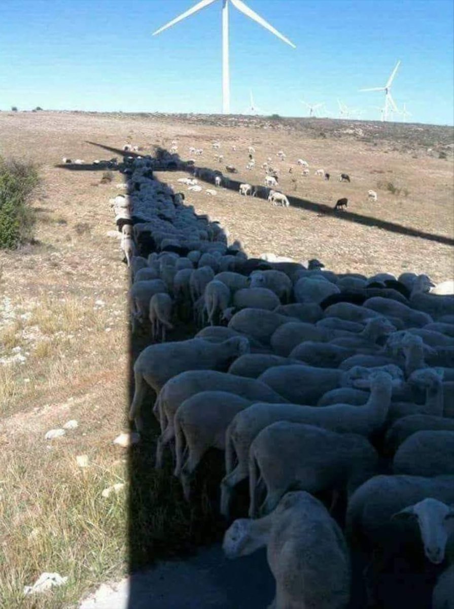 universoviral's tweet photo. ¿Os habeis preguntado alguna vez para qué sirven los aerogeneradores? https://t.co/B1ELB8M4cW