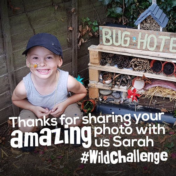 Natures_Voice's tweet image. Look at this great bug hotel that Sarah and her son have made! We&apos;re so impressed and we hope you enjoy your gift from ourselves and @AldiUK. Have you made a bug hotel for your garden? Share your photos with us! #WildChallenge natu.re/86dYe8 😄 @cloudbusting59