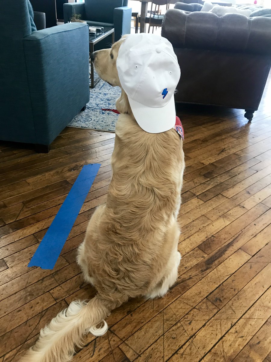 BeneFix_'s tweet photo. We love our office visitors, especially when they rock our benefix gear! #officepuppy #dogdaysofsummer #benefixbaby #inurtech https://t.co/KdVSa2j4Ds