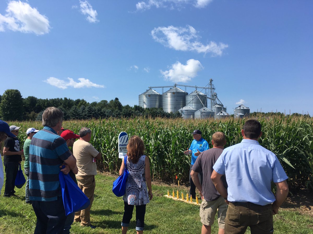 Russell McLaughlin tweet media