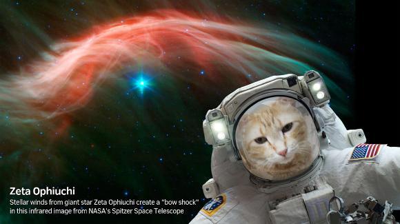 ITproblemSolved's tweet photo. NASA apps take you to space with VR and selfies https://t.co/ekdn8KncnI https://t.co/xa2dD8CqhF