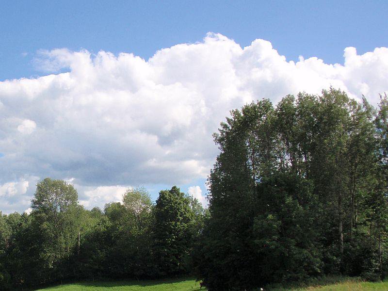 LISTEN: Vermont's Role In Carbon Storage And The Emerging Carbon Markets dlvr.it/Qgslky https://t.co/PHtSC65yLX