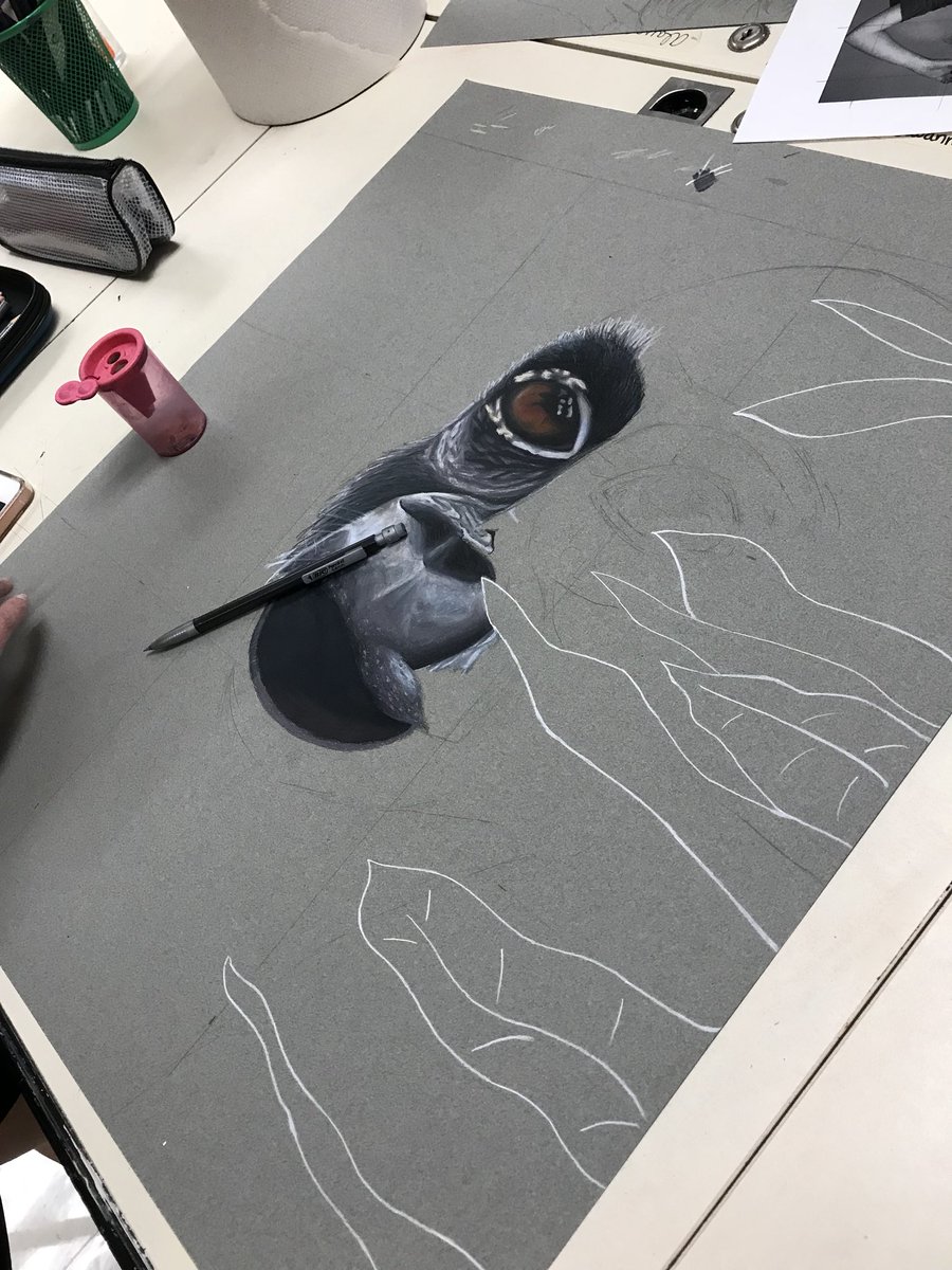 AngieGuilfoyle's tweet photo. AP Drawing @Kings_HS contour line/color pencil rendering project in process @Kings_Schools #RelateCreateInnovate #apdrawingintimidation https://t.co/8sKhmP25ay