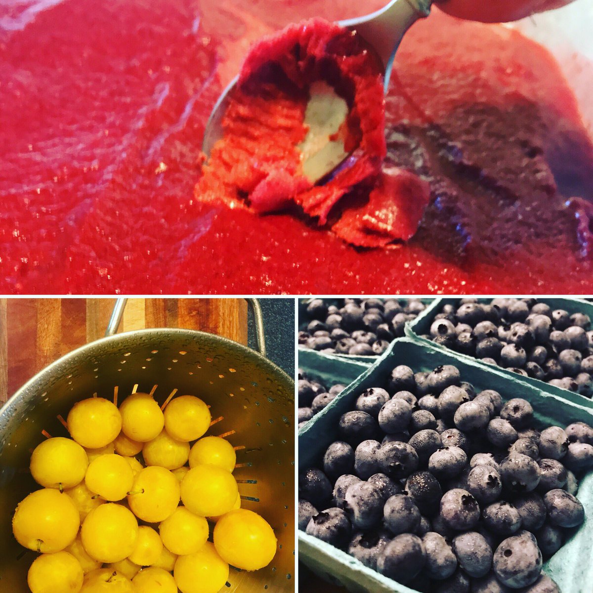 maplemoonfarm's tweet photo. New product alert! We will now be offering local fresh fruit sorbet from fruit sourced from our farm and surrounding farms. This weeks offering is a blueberry/lime and a blackberry/plum made from our blueberries/blackberries and Shiro plums from Foxes Ridge Farm. #mainefarms https://t.co/NL003EJmDs