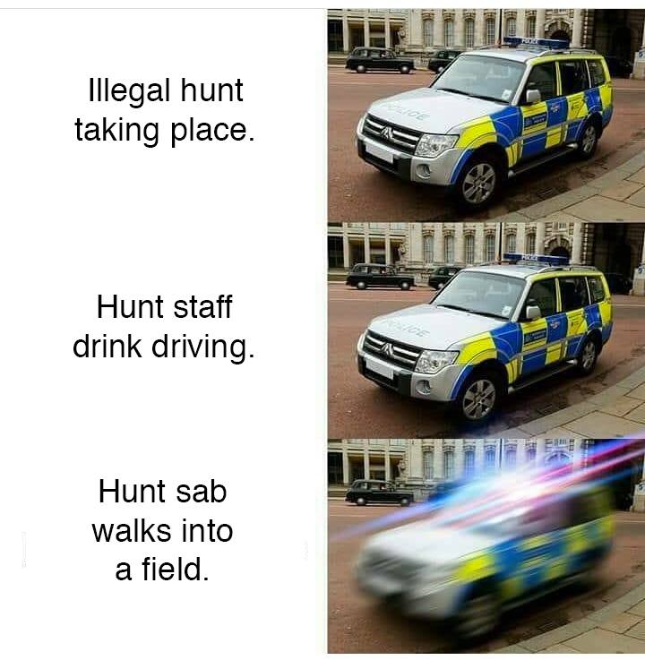 sabs_irl's tweet photo. #acab #ahab #yesallcops #yesallhunters #sabs_irl #onlyscumkillforfun #huntsaboteurs #sabthehunt #sabtheshoot #sabs #vegan #veganism #animalrights #animalliberation #ALF https://t.co/3PvuLh6enS