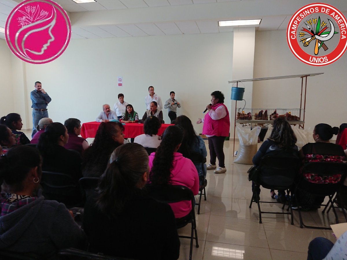 cnc_mujeres_hgo's tweet photo. Seguimos en entrega de las gallinas en #Tulancingo beneficiando a mujeres campesinas de #SantiagoTulantepec #acatlan #huasca #cuautepec #Tulancingo en este programa de @SAGARPA_mx #ECENM @CNC_CEN con apoyo de los extensionistas de @SEDAGRO_HIDALGO https://t.co/b3rJPOo7xa