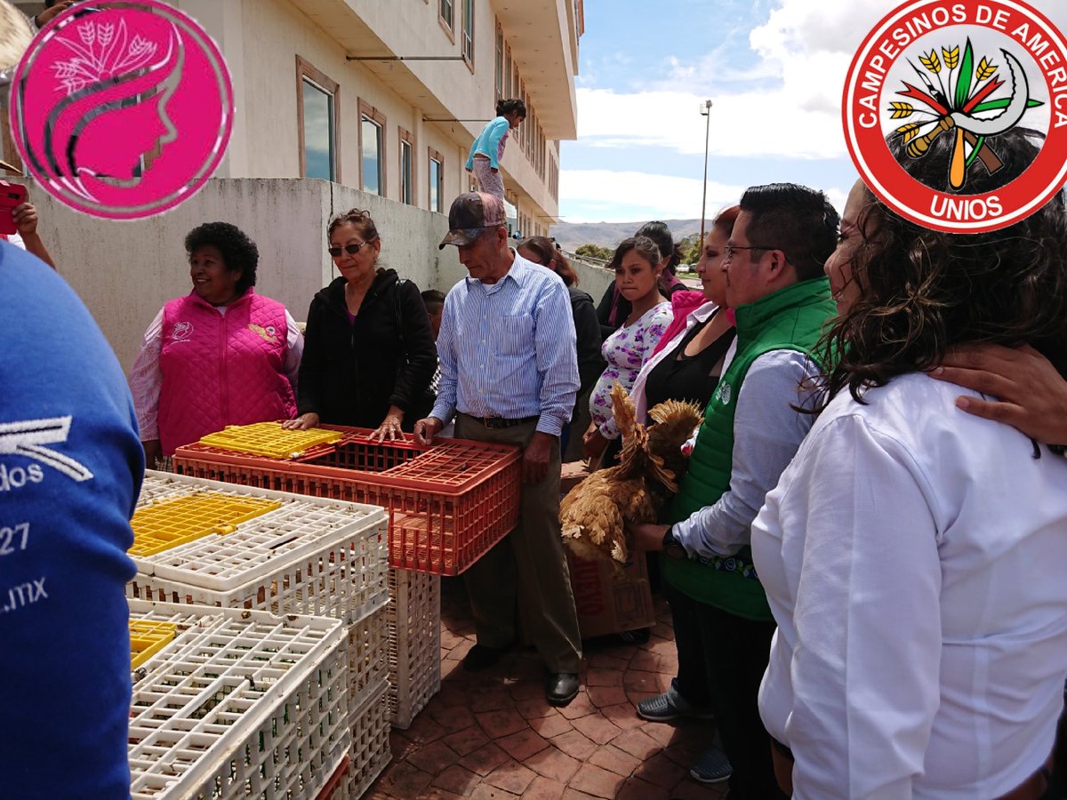 cnc_mujeres_hgo's tweet photo. Seguimos en entrega de las gallinas en #Tulancingo beneficiando a mujeres campesinas de #SantiagoTulantepec #acatlan #huasca #cuautepec #Tulancingo en este programa de @SAGARPA_mx #ECENM @CNC_CEN con apoyo de los extensionistas de @SEDAGRO_HIDALGO https://t.co/b3rJPOo7xa