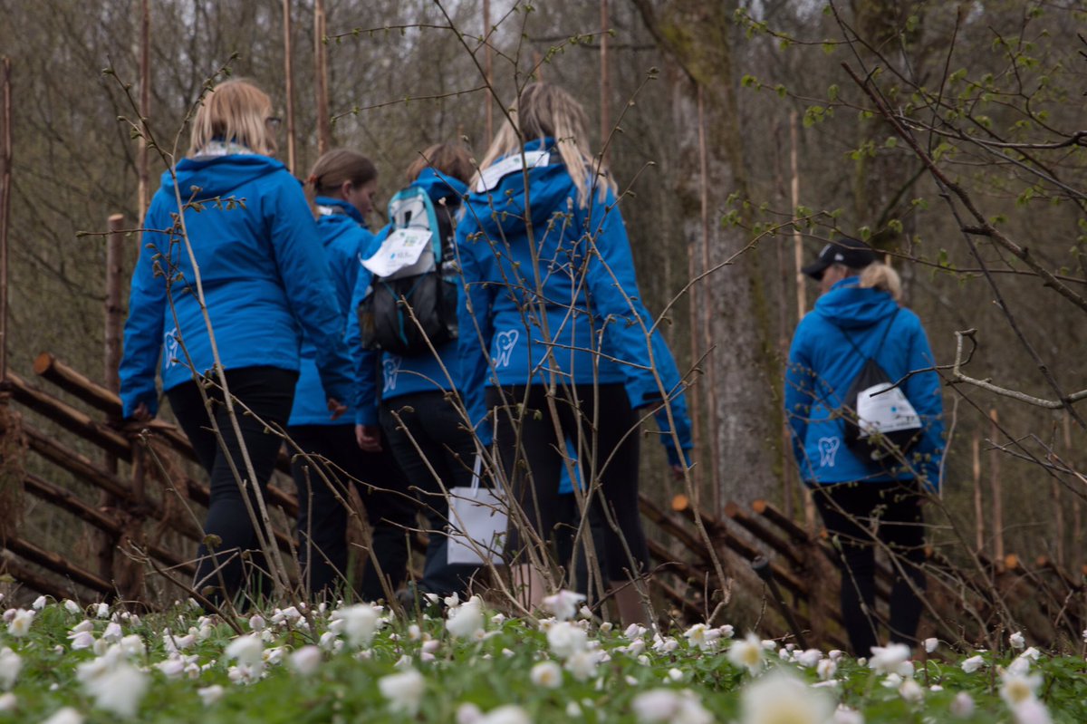 Linnémarschen tweet media