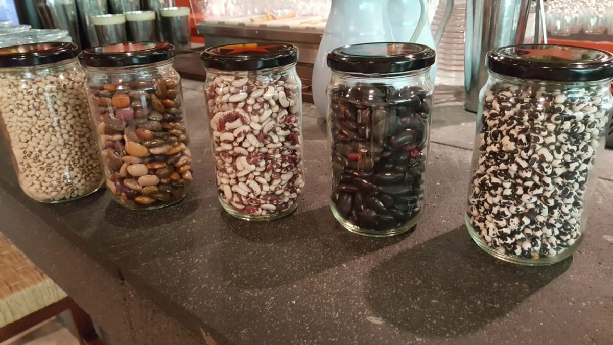 copasycorchos's tweet image. El @cascabel_cdmx se caracteriza por su maíz y frijol endémicos cien por ciento mexicanos. Los esquites ancestrales están elaborados con maíz azul, blanco y rojo de Pátzcuaro Michoacán. #Cookingexperience en @ParkPlazaMex