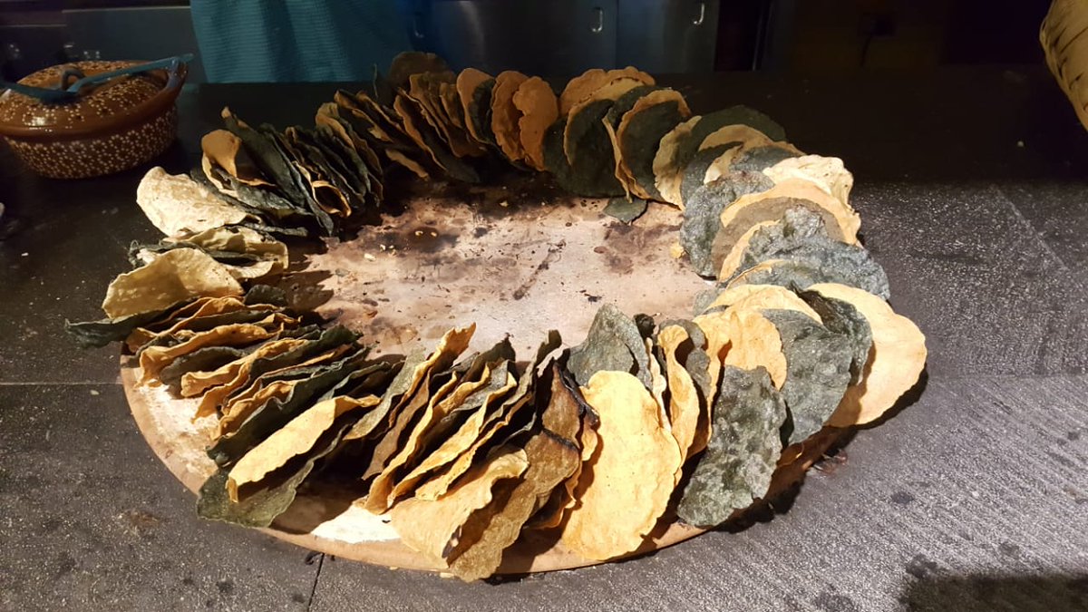 copasycorchos's tweet image. El @cascabel_cdmx se caracteriza por su maíz y frijol endémicos cien por ciento mexicanos. Los esquites ancestrales están elaborados con maíz azul, blanco y rojo de Pátzcuaro Michoacán. #Cookingexperience en @ParkPlazaMex