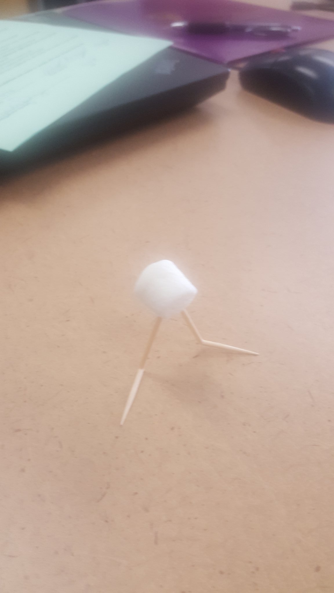 Two toothpicks 2024