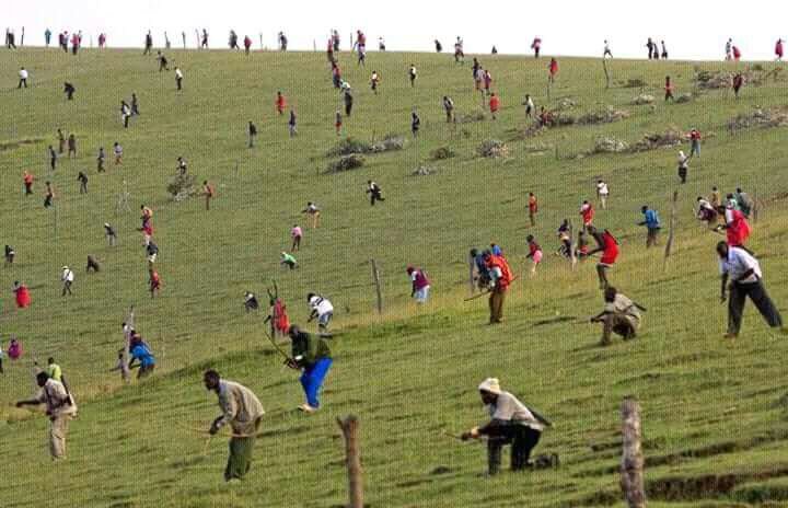 OmwanzaO's tweet photo. This struggle between life and death: currently at Transmara Shangoi area. Gvt should intervene. @ahmednasirlaw @WehliyeMohamed @Nation_Politics @DCI_Kenya https://t.co/0JLv4t4CxX