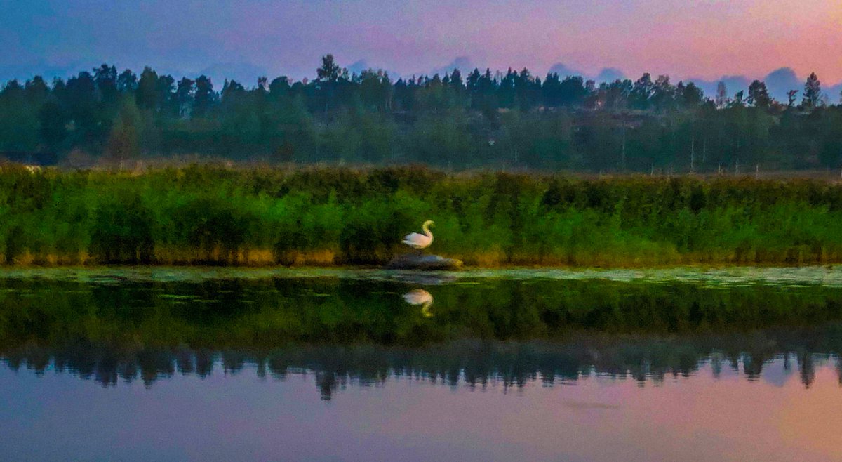 Jens_Matthies's tweet photo. Impression (2018) https://t.co/8dn5hJyO43