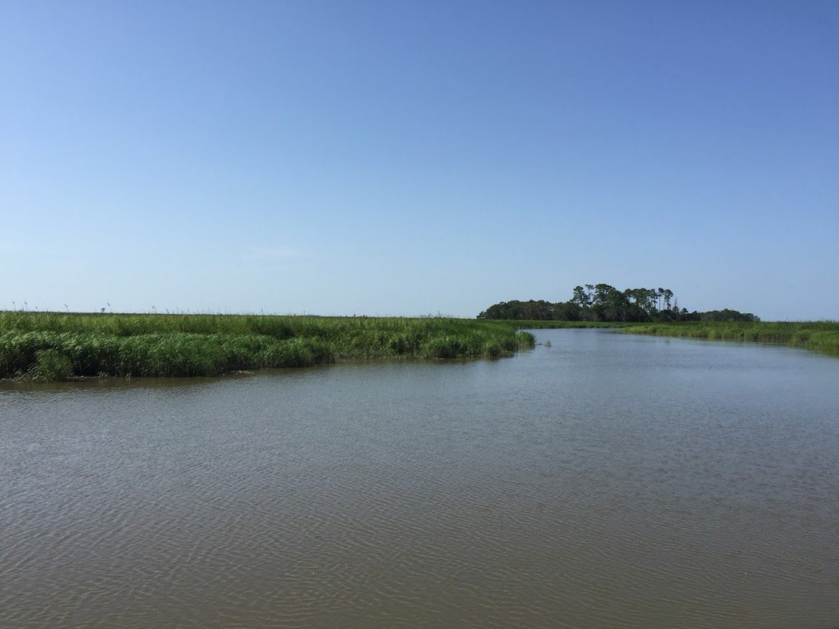 FtKingGeorge's tweet photo. The creek sure does look nice this afternoon!  Learn to kayak in our local waterways this weekend. Sat, August 25 from 10am - 12pm, To register, call us @ 912-437-4770. $30/person. #kayaking #exploregeorgia #visitdarien #tidalcreek https://t.co/2Lkkd9fEET