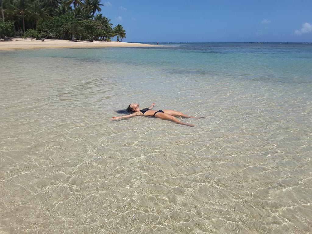 ssony113's tweet photo. https://t.co/bX1NcXC2VS
I love my home !  Las Terrenas. https://t.co/yEEwcirLiB
