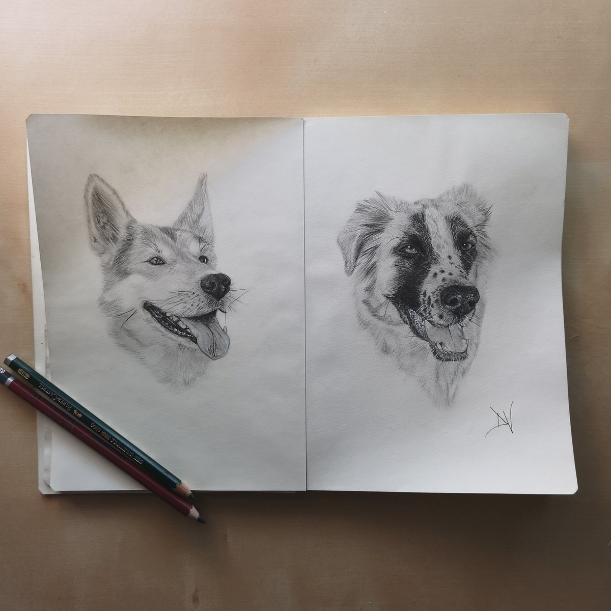 davidcvart's tweet photo. Hasta que no hayas amado un animal, una parte de tu alma permanecerá dormida. 

Anatole France

#draw #drawing #skeet #skeetbook #pencil #lapiz #dibujo #fabercastell https://t.co/kcHdPKnH1k