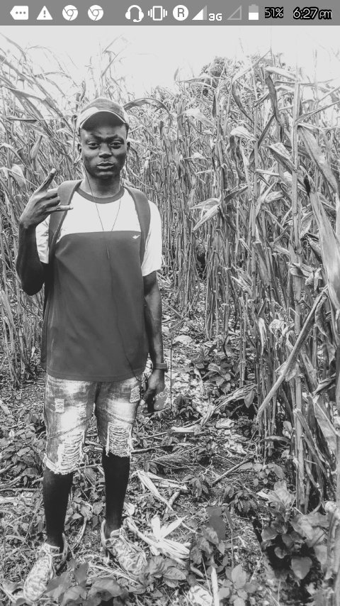 Padijoe0041's tweet photo. Have you heard ‘Stepping Stone’ by Zylofon Media on #SoundCloud? #np https://t.co/LVUcU1KcPh https://t.co/HuTpBHw3my