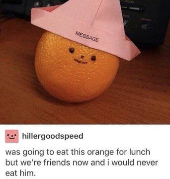 WholesomeMemes (@wholesomememe) on Twitter photo 