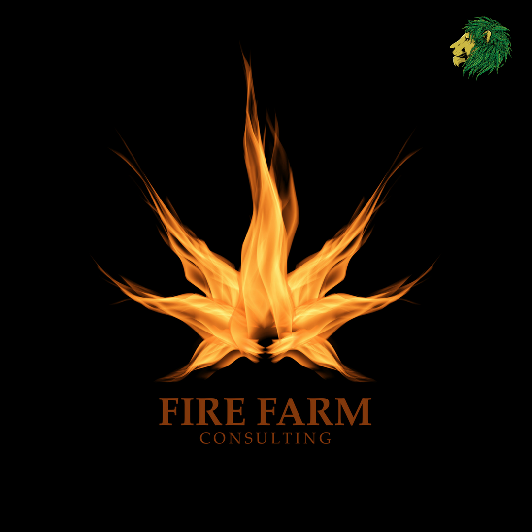 BlazeItMedia's tweet photo. Checkout our newest logo design for Fire Farm Consulting!
//@420webdesigns
#cannabis #cannabisfarm #cannabisgrow #cannabisconsulting #cannabisgrower #cannabislogo #cannabislogodesign #420webdesigns #cannabisindustry #420logo #cannabiscommunity #cannabiz #cannabiscultivation https://t.co/MpbLZOi5w2