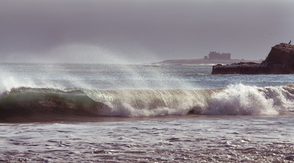 West Coast Waves

#highwayone #bayareacoast #bnwbutnot #canonclub #canon6d #instadaily #photooftheday #potd #canon6d #canonclub #2instagood #lensculture #composition #gramheist #electric_shotz #moodygrams #ig_underdogz #monoart_ #ig_artistry #sombresociety #bnwtones_flair