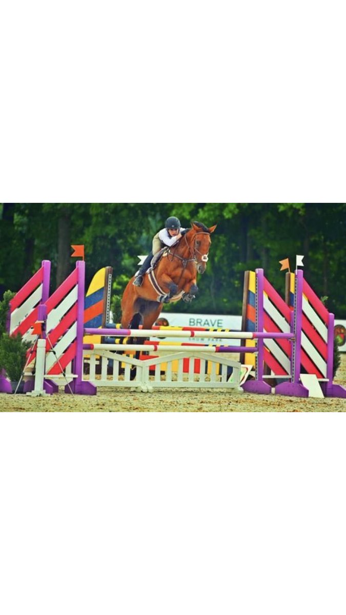 It’s going to be a ☀️☀️☀️ weekend of showing at <a href="/bravehorseohio/">Brave Horse Ohio</a> ! Come out and cheer on your faves!