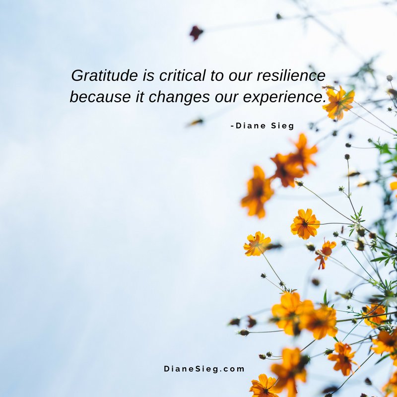 #buildingresilience
