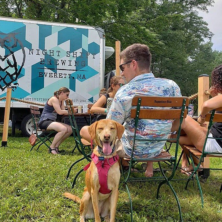 owlsnestboston's tweet photo. We feel the same way about Herter Park too, Moxie. Now open Friday 4-10pm, Saturday 12-10pm, and Sunday 12-8pm! #OwlsNest #BeerGardenDogs 📸: @betrspot https://t.co/zUhQwhUJ32