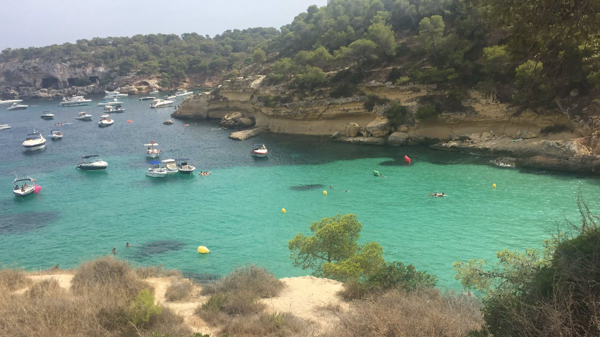 Roger Fornas Lladó tweet media