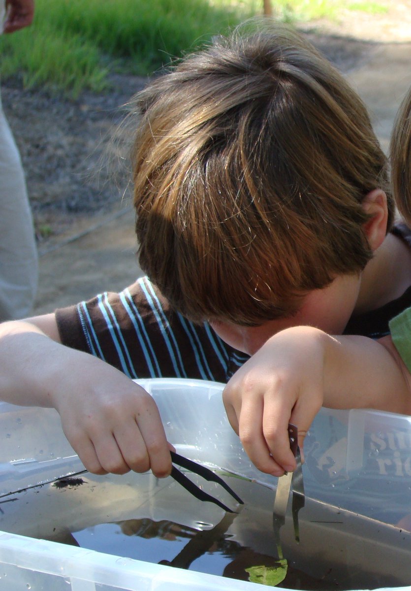 KeepTahoeBlue's tweet photo. This Saturday, bring your family out to Children's Environmental Science Day from 1 - 4 pm at #commonsbeach in #tahoecity. Hands on science activities, crafts, face painting, ice cream truck and more! For more info and to RSVP go to https://t.co/4UJ55snTbN https://t.co/w3ThbdVzQR