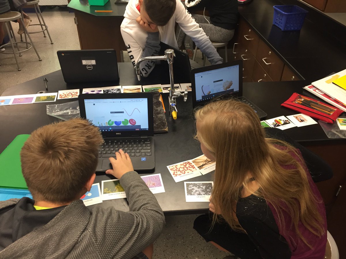 mrsjscience1's tweet photo. Having fun with @AmplifyScience! Figuring out how small bacteria really are. @GregJWolcott @Woodridge68 https://t.co/Vp2G1cjlnP