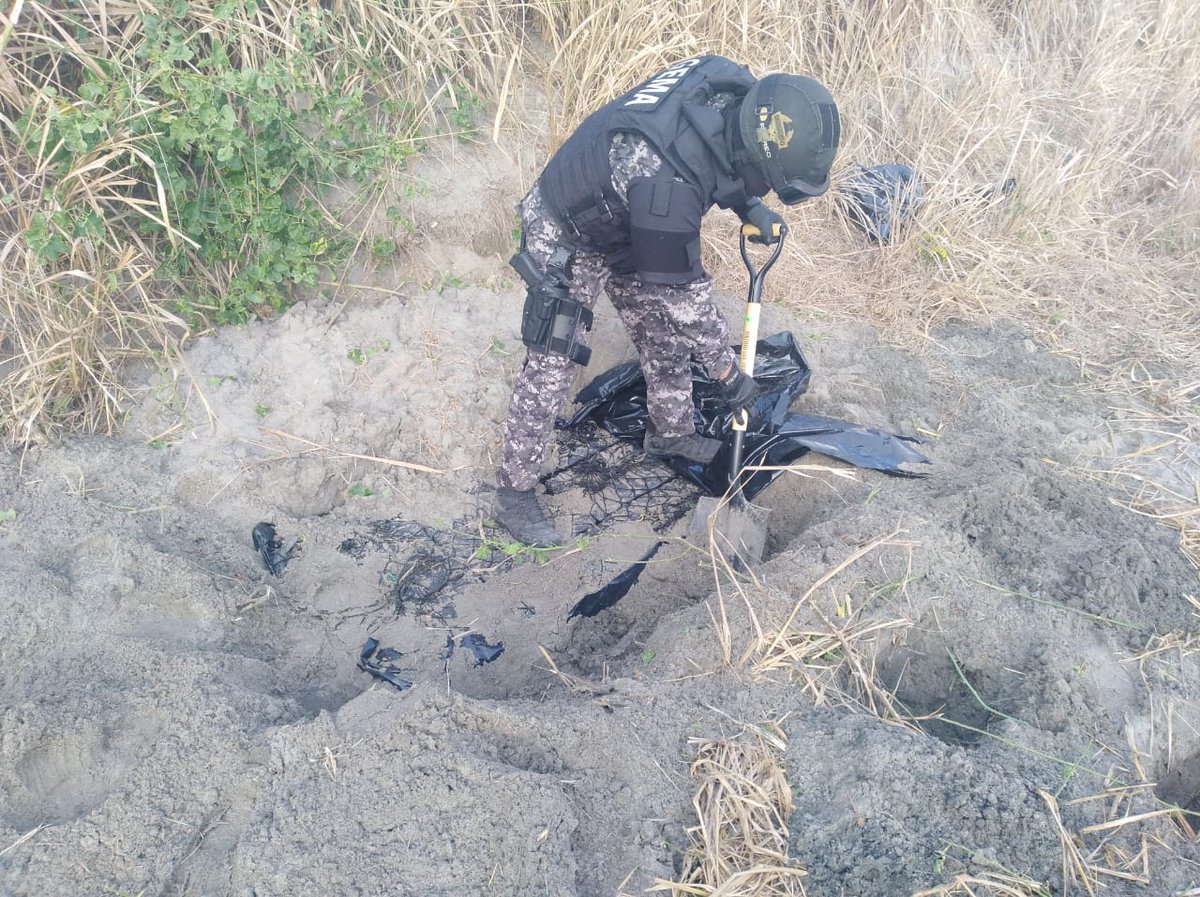 MinGobiernoEc's tweet photo. [BOLETIN] Policía incauta más de media tonelada de droga en Pedernales >> https://t.co/Wt8Vo6k3SK #Impacto313 https://t.co/RWDy8NiQY4