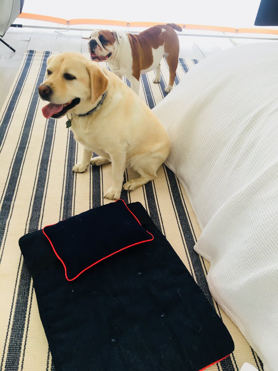 riley_home's tweet photo. Guess what's coming soon?! 🐶 For your best friend - Stay tuned for the full collection: https://t.co/YMATHIKO6g #dog #dogbed #dogs #puppy #monogram https://t.co/ZMjZ34Z7v3