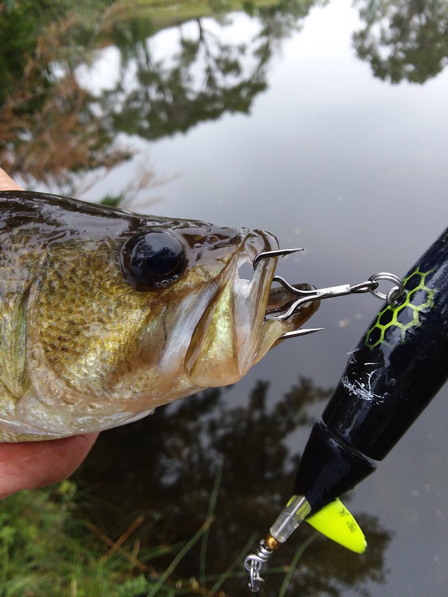 Kayak_Dizz's tweet photo. It was a Spinnerbait Plopper Fishing time the past couple outings.
#TeamMues #TeamTrapper #EvilutionLures #TeamEvil #FISHINGSIRProStaff #FishingSir #OneMoreCast #Nebraska #Nebraskafishing #thegoodlife #NGPC #outdoors #outdoorlife #nature #naturephotography #AdventureNE #IRoamFree https://t.co/cNEEmSMHML