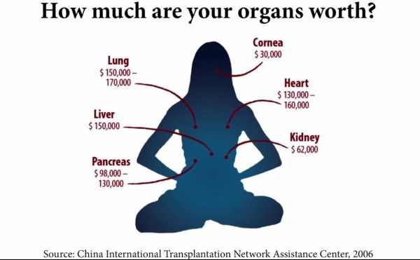OccultaeV's tweet photo. The Approximated cost of organs, from the CITNAC

#case40 #ovpod
Subscribe: https://t.co/aMtr0EfzXV https://t.co/YvCvb76ZyD